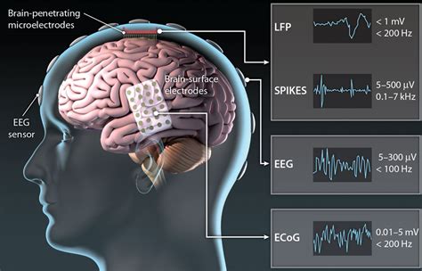 eeg brain machine interface